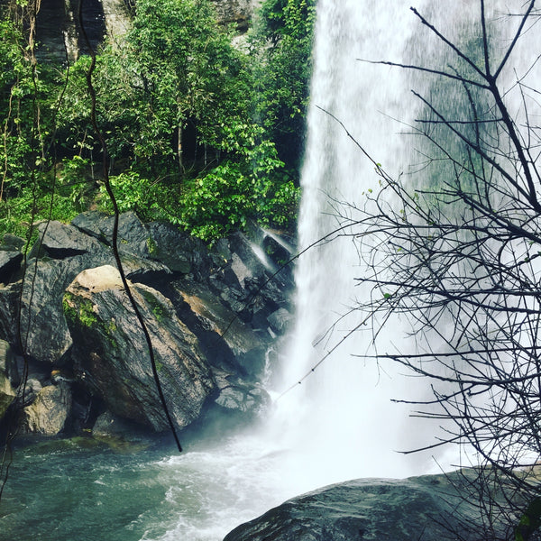 Rainforest waterfall in Cambodia